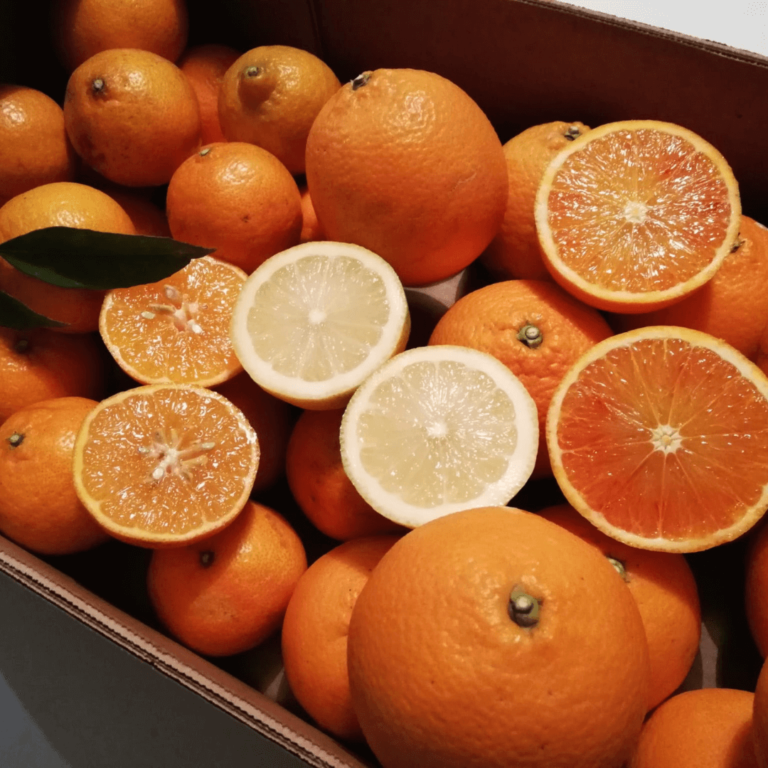 Sizilianische Orangen (Tarocco) - 10KG